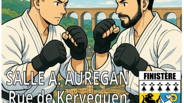 Stage départemental jujitsu